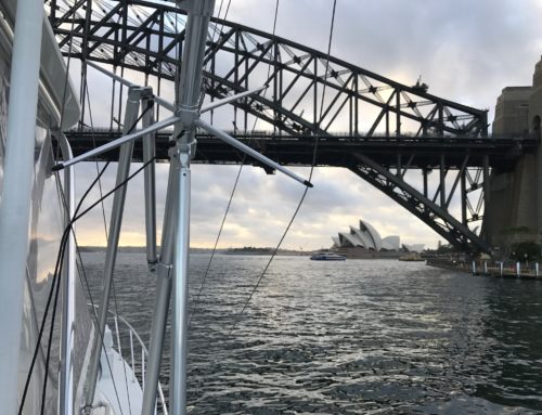 Port Stephens & Sydney | Light Tackle Marlin Fishing & Deep Dropping